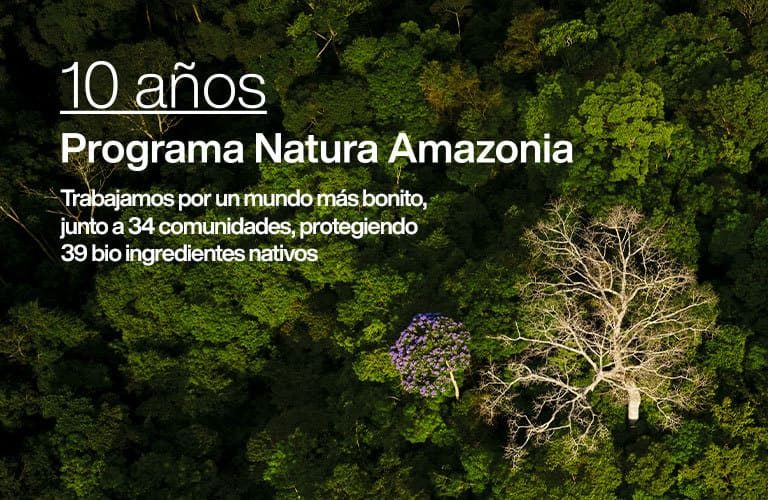 Programa Natura Amazônia: Cómo Apoya Natura a La Economía | Natura Peru